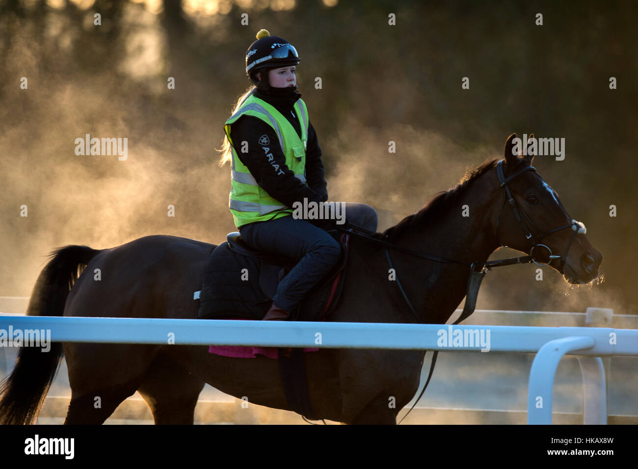 Steam riding horses hi-res stock photography and images - Alamy