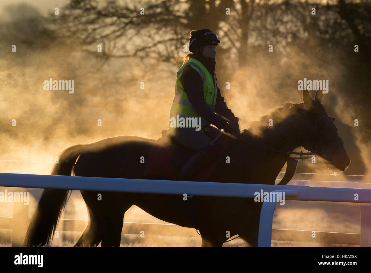 Steam riding horses hi-res stock photography and images - Alamy