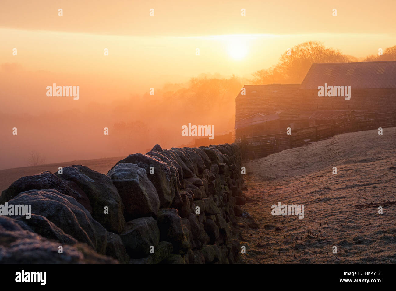 Sunrise on a Yorkshire farm, Burley-in-Wharfedale, UK Stock Photo