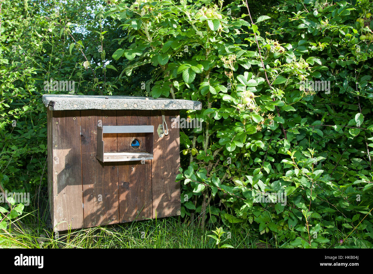 Nisthilfe für Hummel, Hummeln, oberirdische Hummel-Nisthilfe, Hummelkasten, Hummel-Kasten, Nistkasten für Hummeln, Hummel-Nistkasten, Nesting aid for  Stock Photo