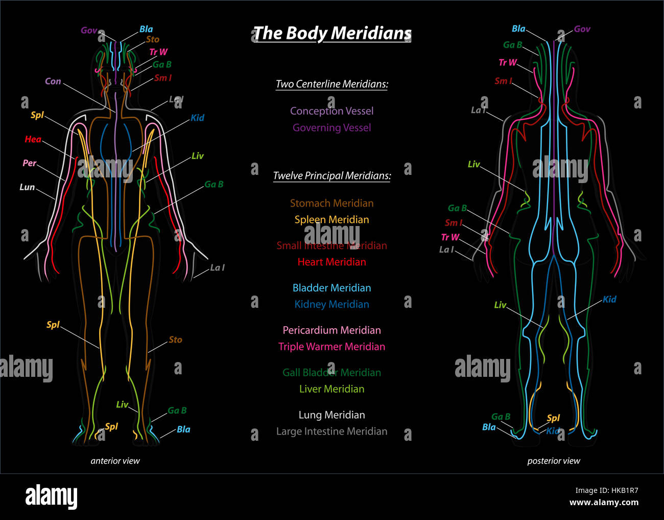 Qigong Meridians Chart