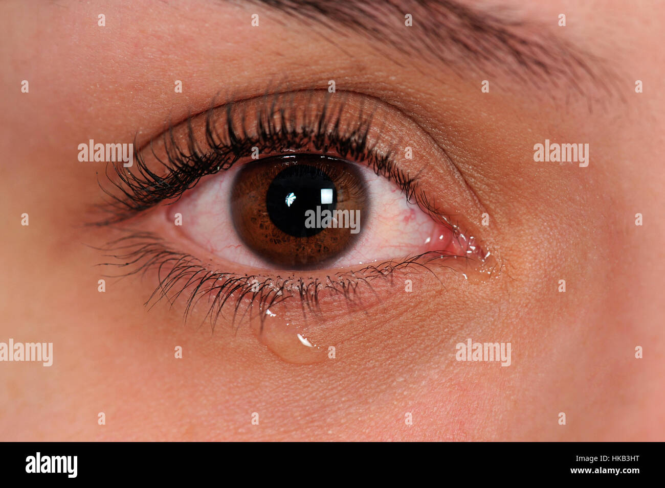 Close up of eye with tear Stock Photo
