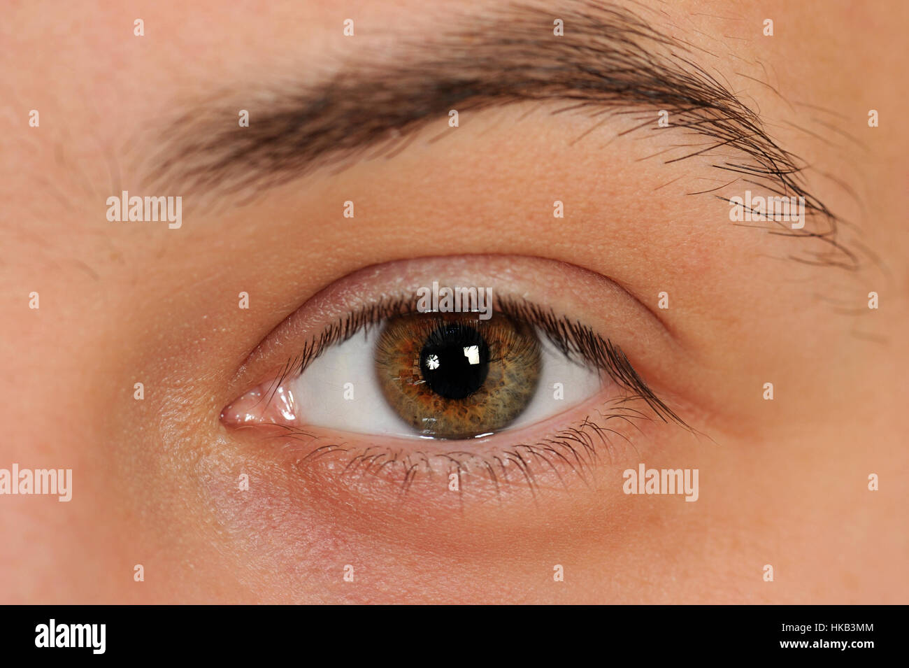 Close up of left human eye Stock Photo