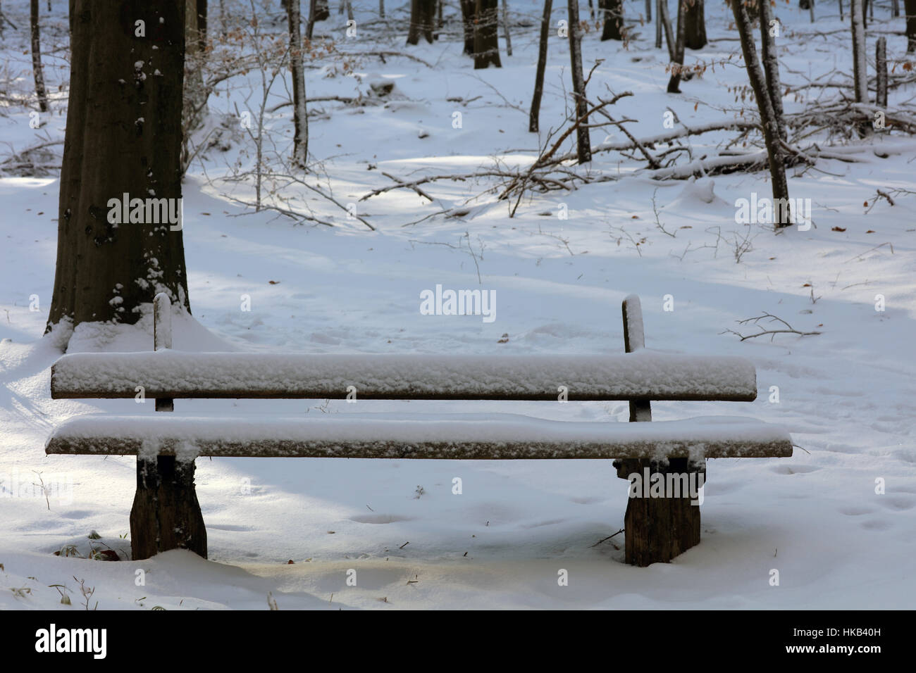 Wooden bench covered with snow in forest Stock Photo - Alamy