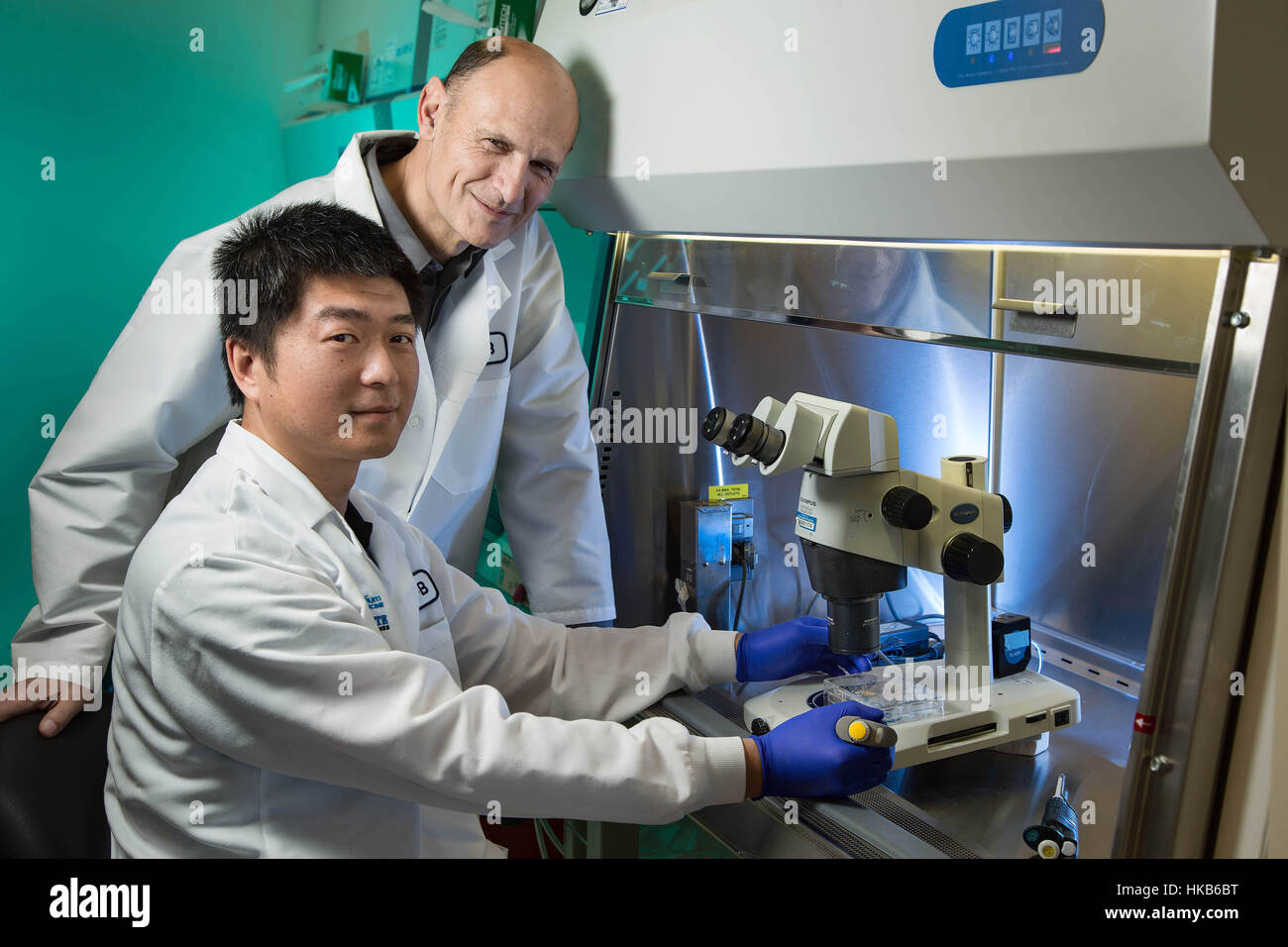 Washington, USA. 26th Jan, 2017. Undated photo released by U.S. Salk Institute on Jan. 26, 2017 shows Jun Wu (front) and Juan Carlos Izpisua Belmonte, investigators of the U.S. Salk Institute for Biological Studies. In a bold but potentially controversial quest for solutions for the worldwide shortage of transplant organs, scientists attempting to grow human organs inside pigs have successfully grown the first chimera embryos containing cells from both humans and pigs, they said Thursday. Credit: U.S. Salk Institute/Xinhua/Alamy Live News Stock Photo