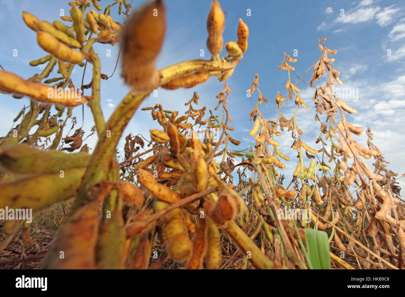 000 hectare property hires stock photography and images Alamy