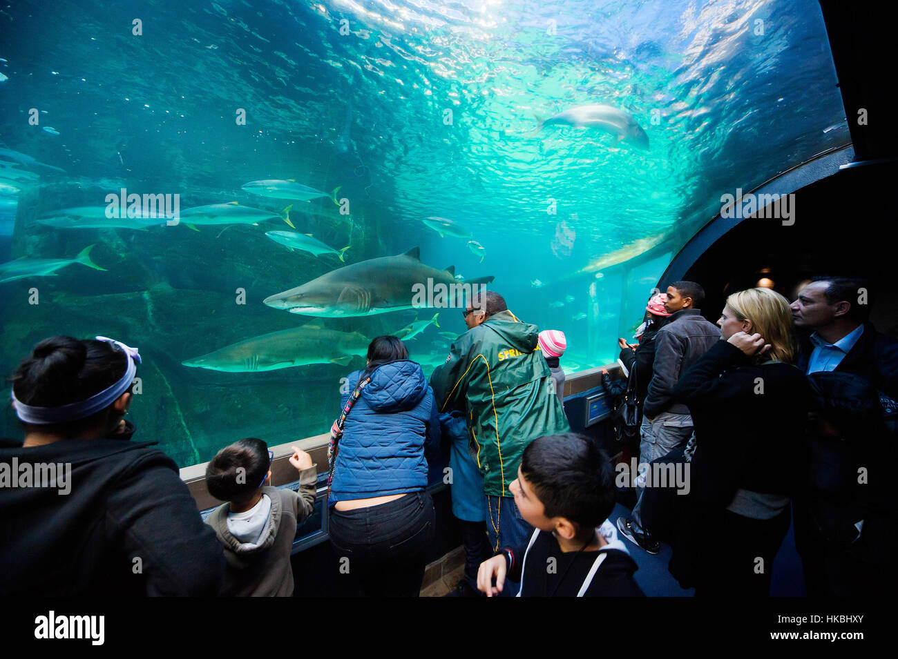 visitors-enjoying-views-on-a-exhibit-of-the-ocean-fauna-at-two-oceans