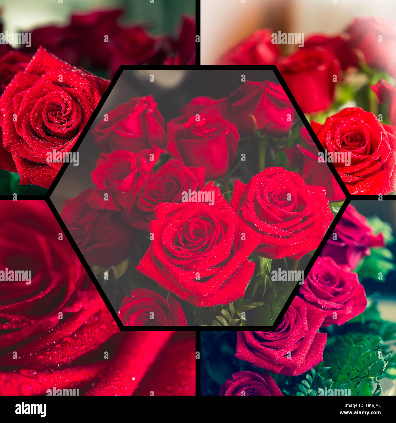 Red Roses Collage Collage of beautiful red rose macro shot close up Stock Photo - Alamy