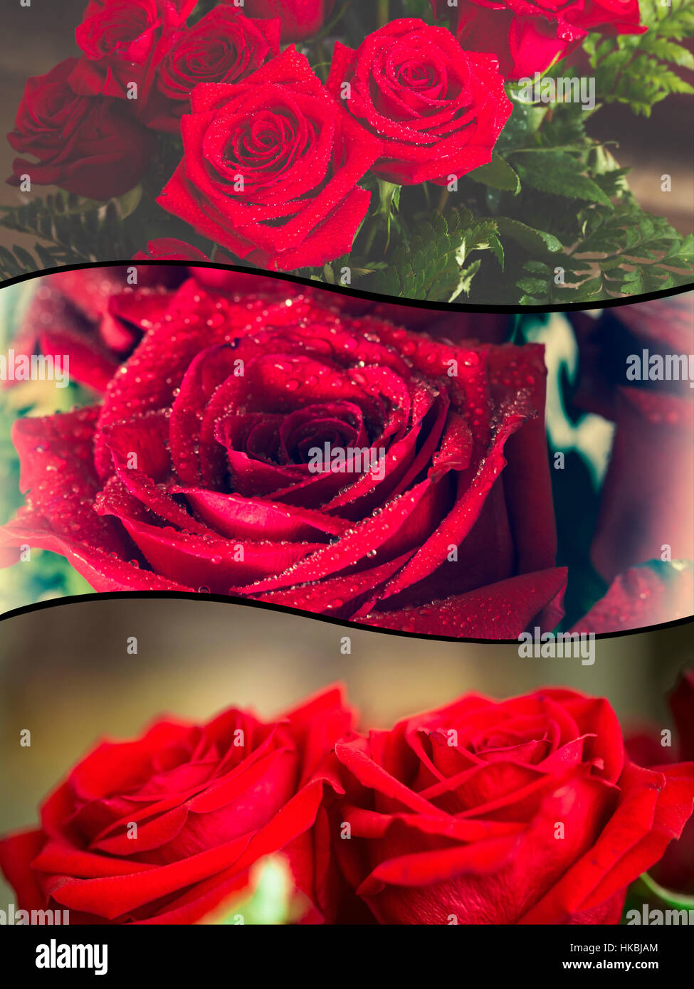 Red Roses Collage Collage of beautiful red rose macro shot close up Stock Photo - Alamy