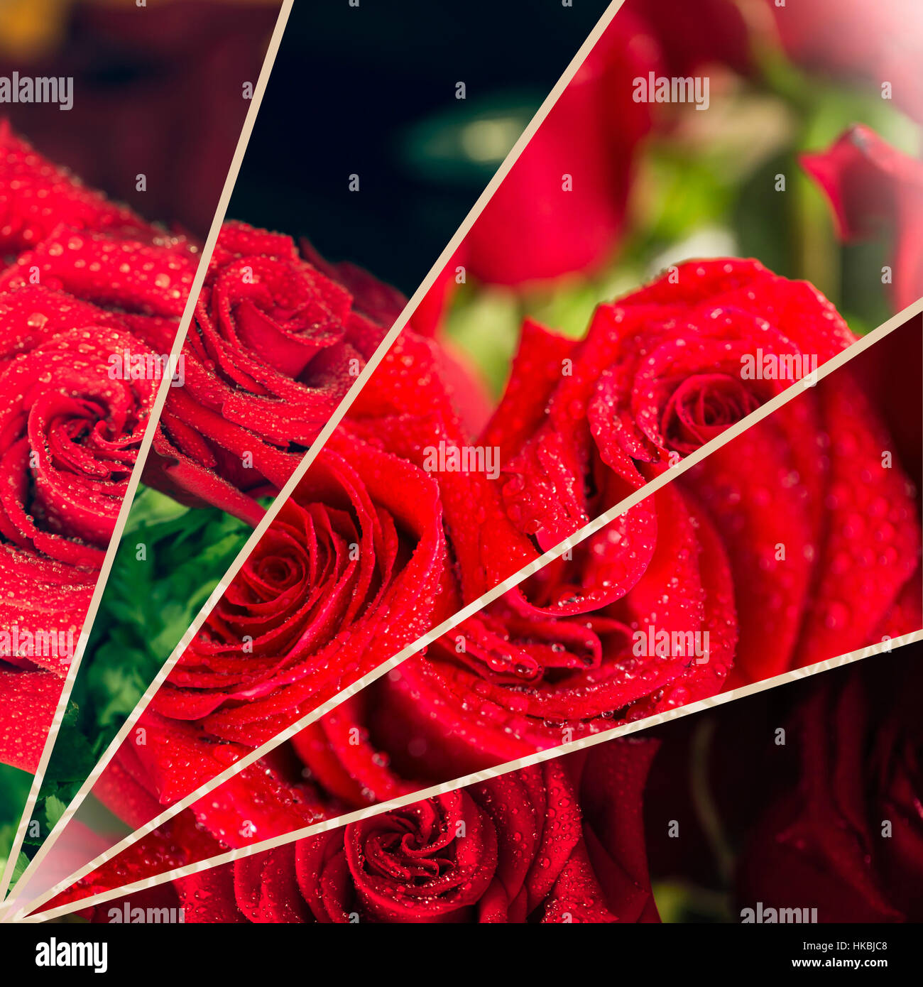 Red Roses Collage Collage of beautiful red rose macro shot close up Stock Photo - Alamy