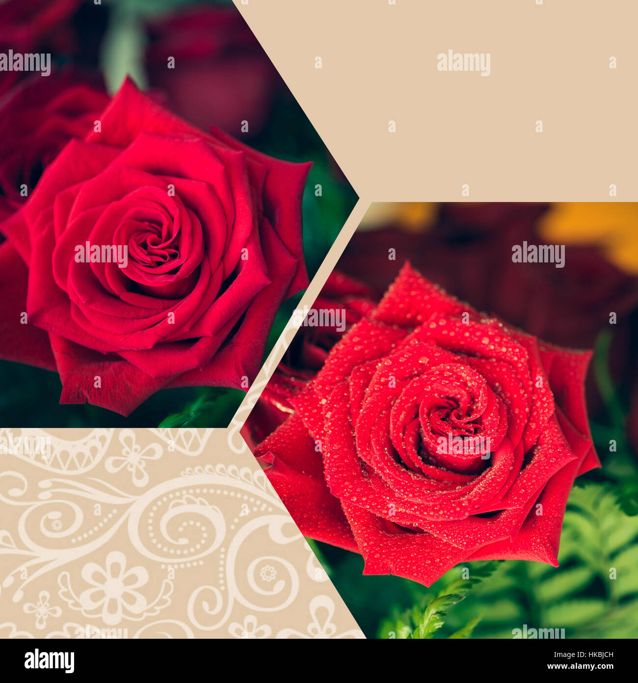 Red Roses Collage Collage of beautiful red rose macro shot close up Stock Photo - Alamy