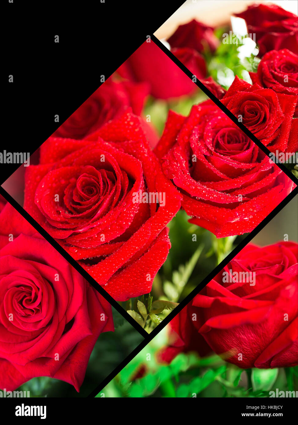 Red Roses Collage Collage of beautiful red rose macro shot close up Stock Photo - Alamy