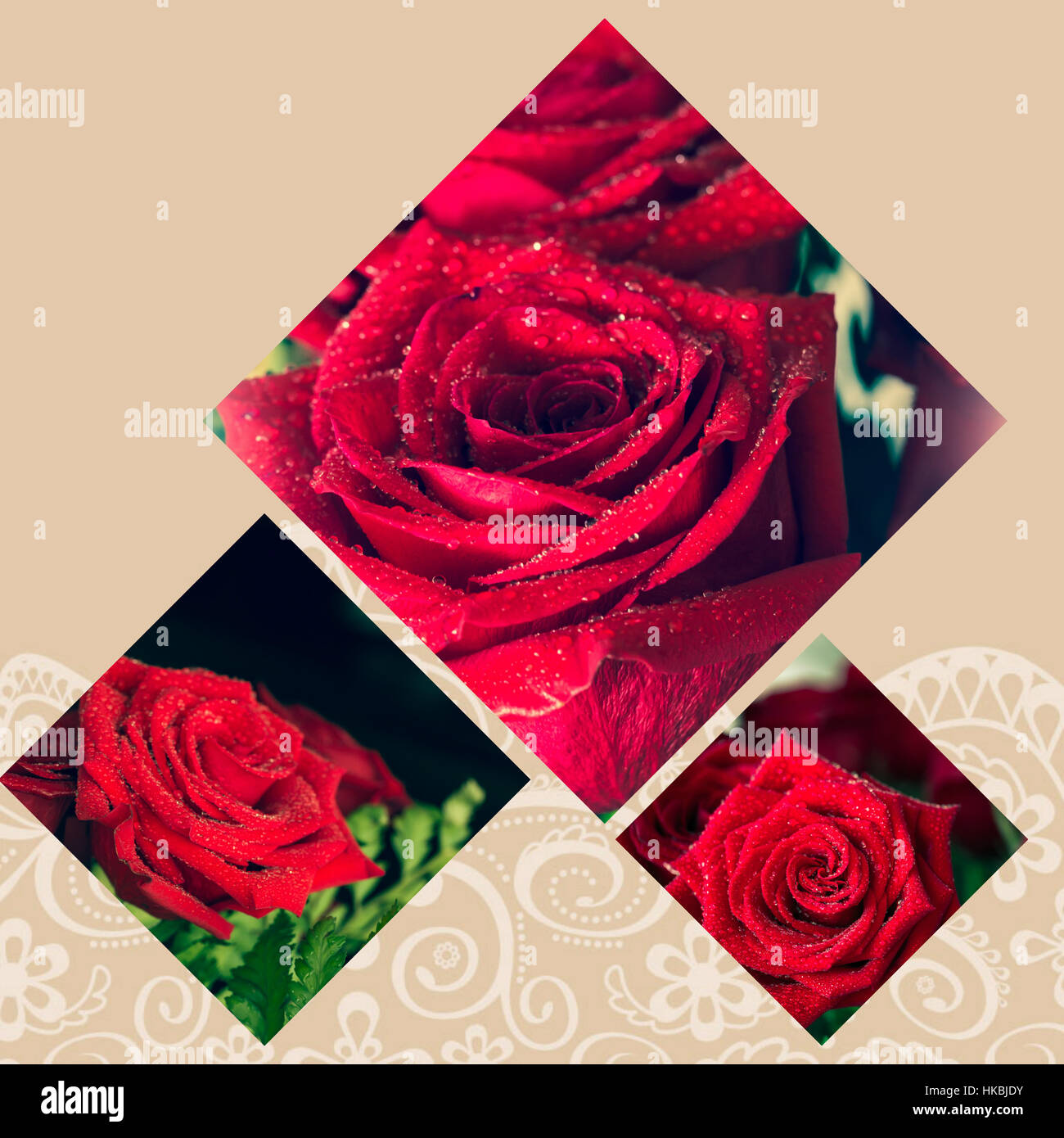 Red Roses Collage Collage of beautiful red rose macro shot close up Stock Photo - Alamy