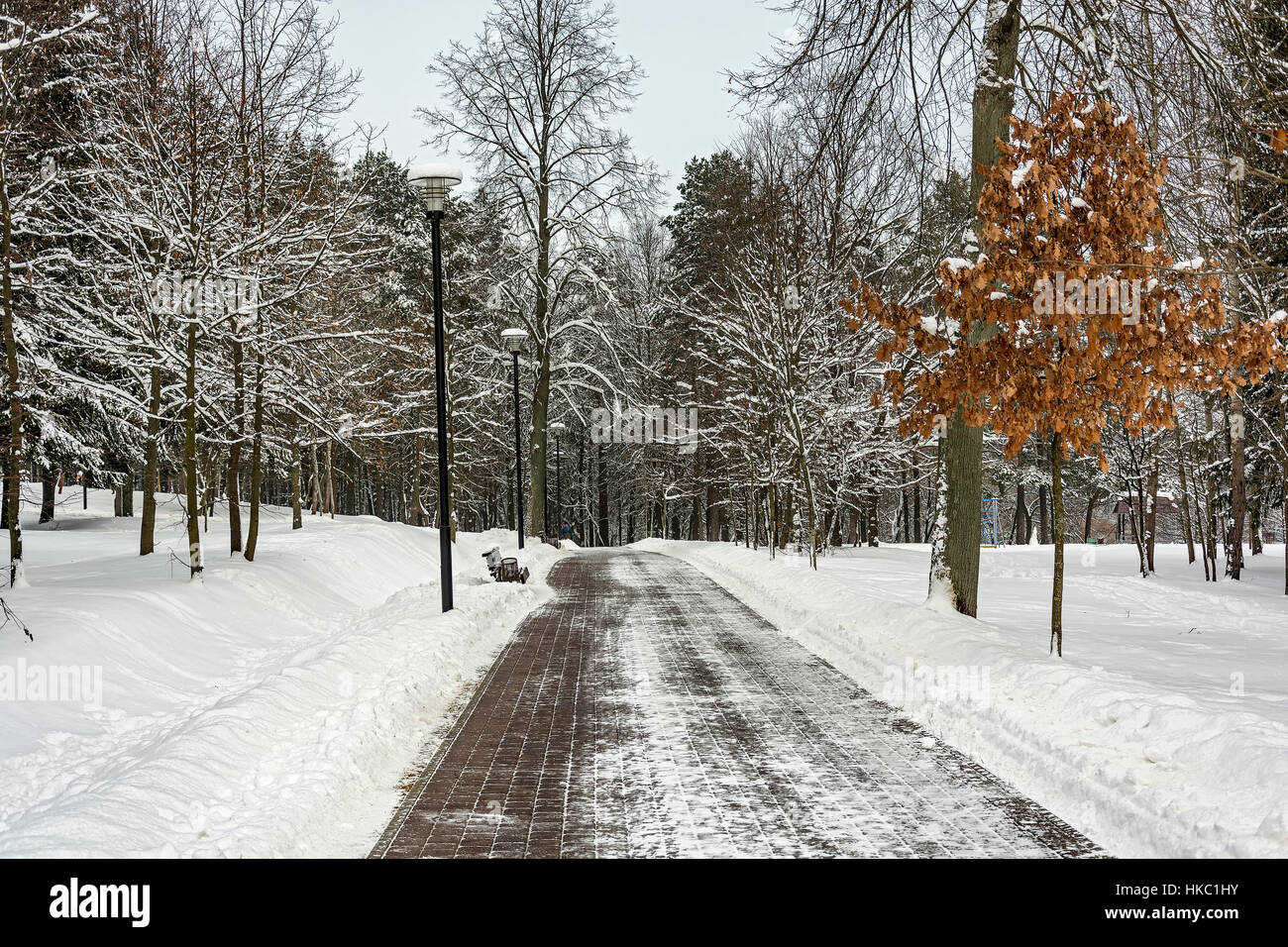 Alley in the city park winter cloudy day Stock Photo - Alamy