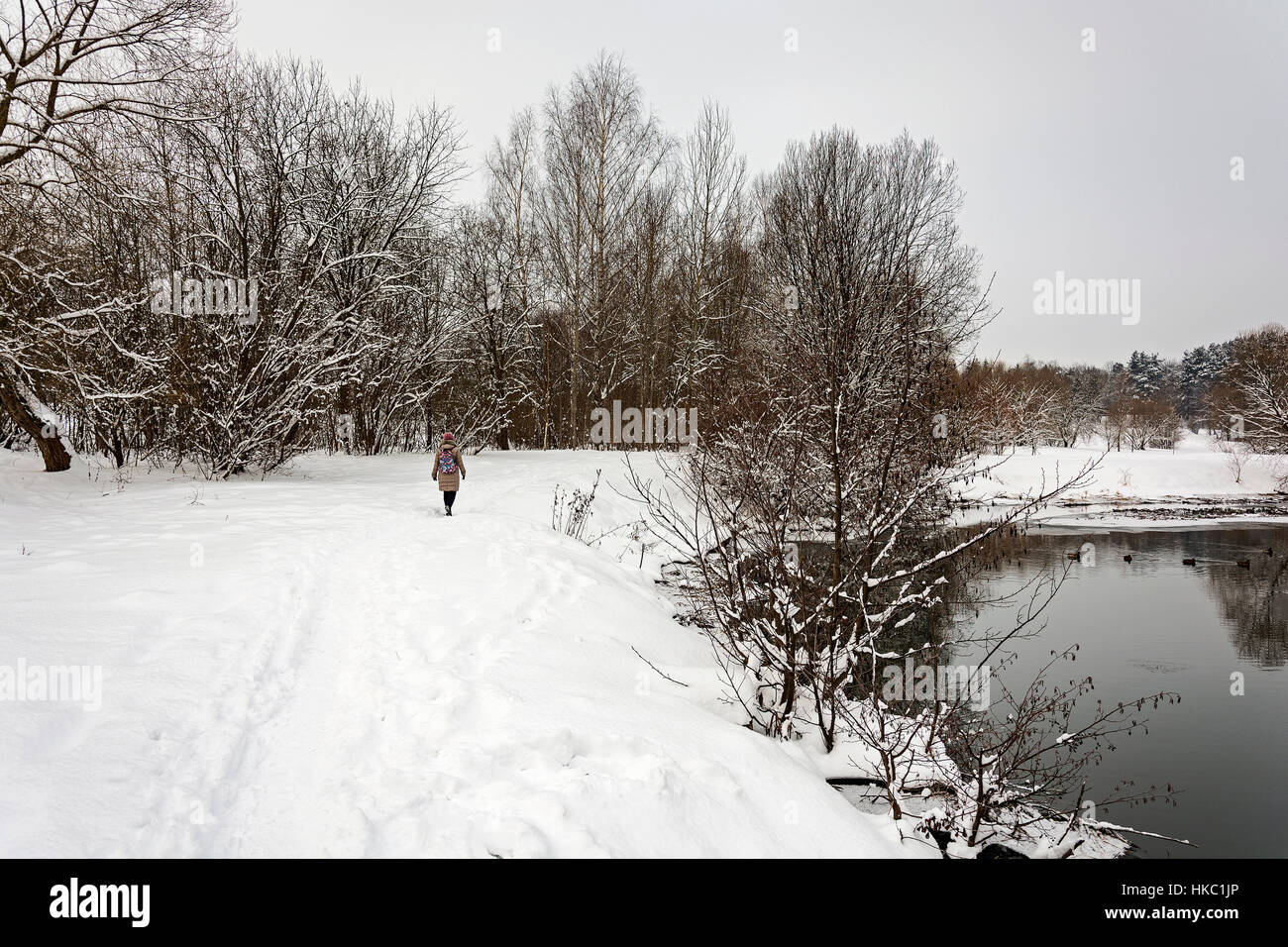 Lonely woman is walking on the bank of winter river Stock Photo - Alamy