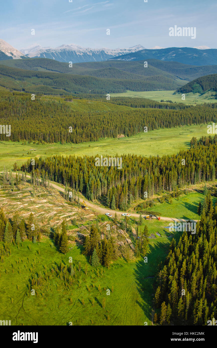 Clearcut logging in the foothills of Alberta's Rocky Mountains for