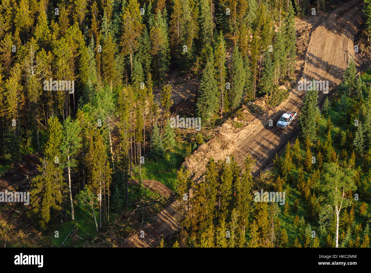 Clearcut logging in the foothills of Alberta's Rocky Mountains for timber harvesting affects water retention and flood mitigation in the environment Stock Photo