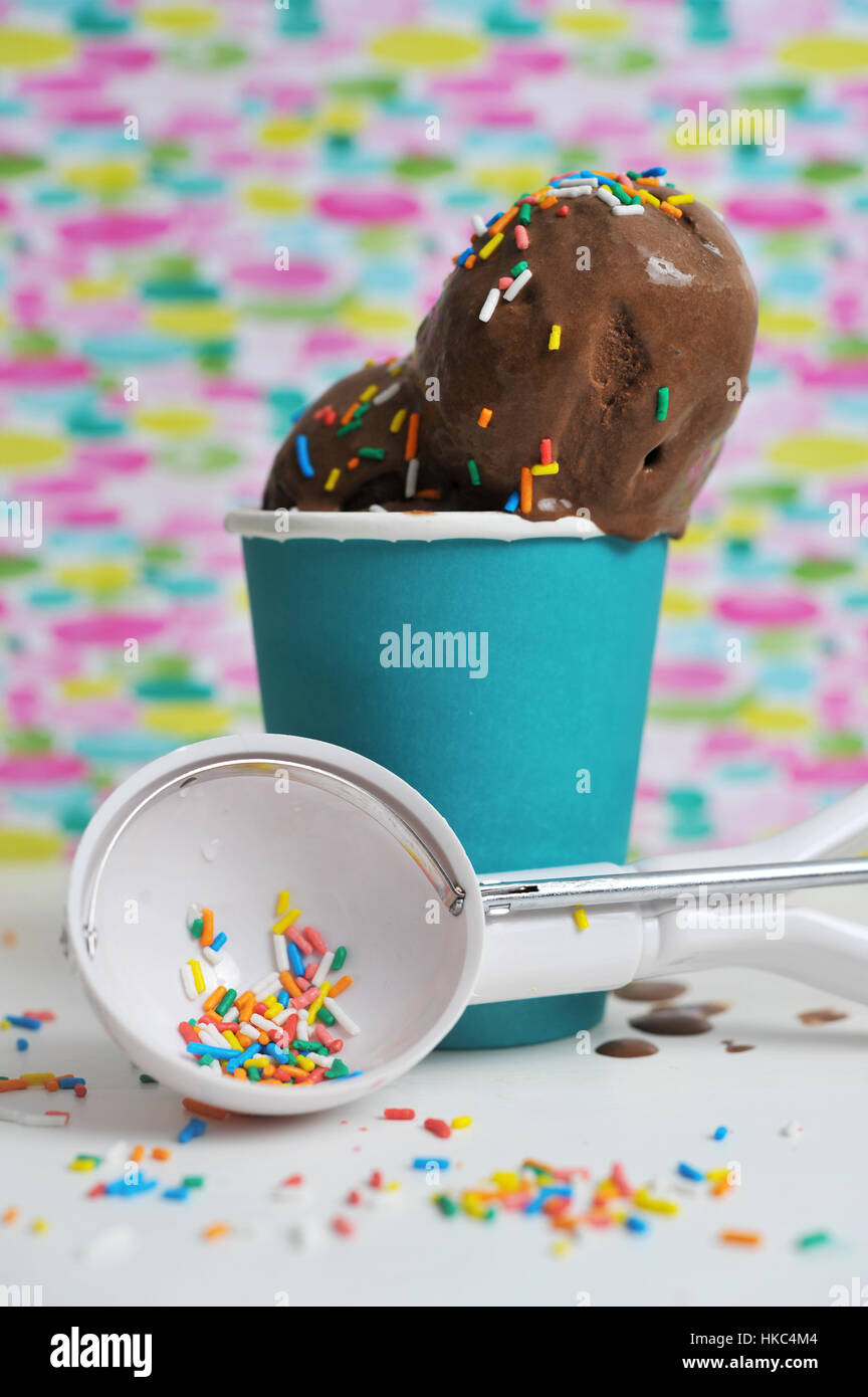 Chocolate Ice Cream with Sprinkles Stock Photo Alamy