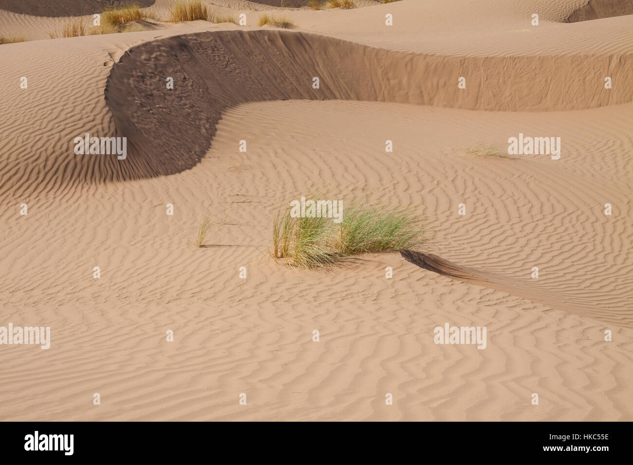 Sand dunes in the Sahara Desert, Morocco Stock Photo - Alamy