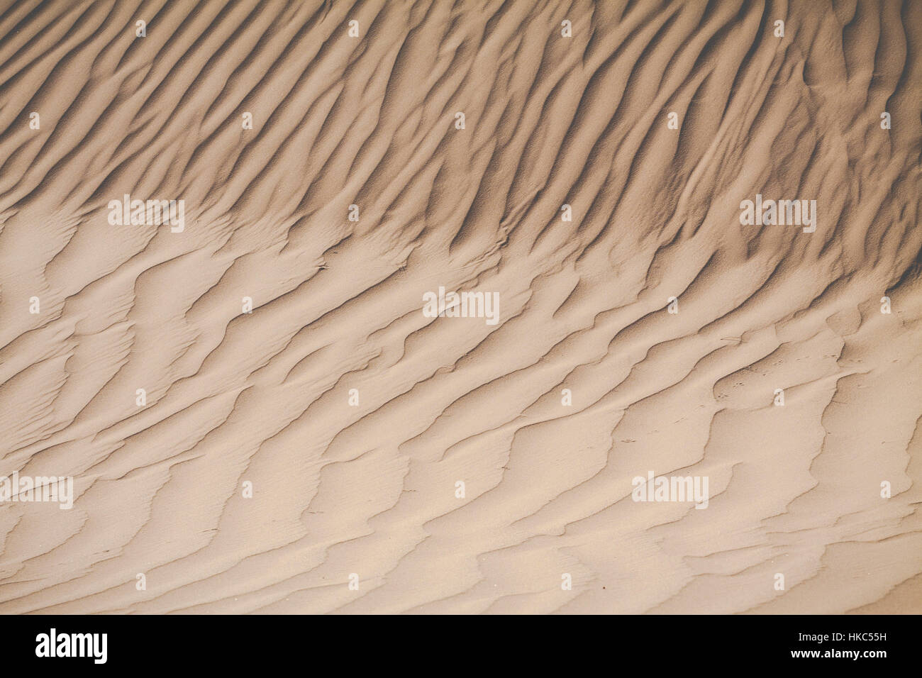 Sand dunes in the Sahara Desert, Morocco Stock Photo - Alamy