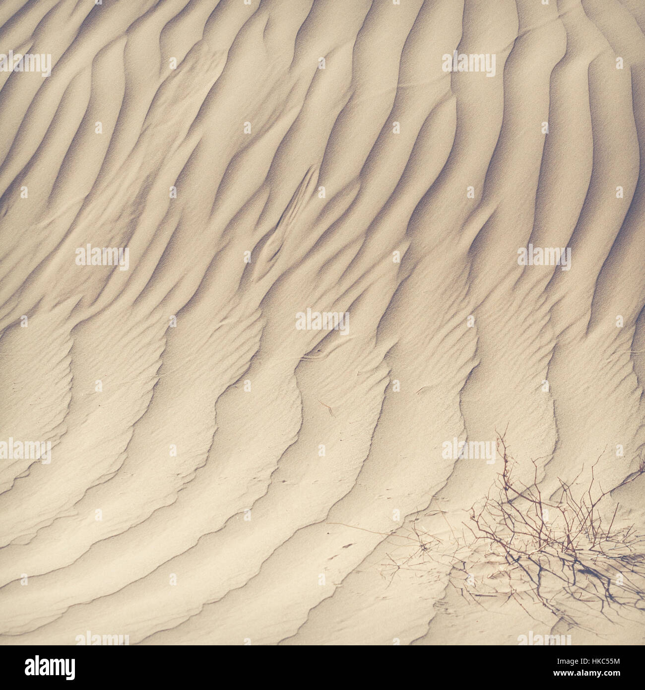 Sand dunes in the Sahara Desert, Morocco Stock Photo - Alamy