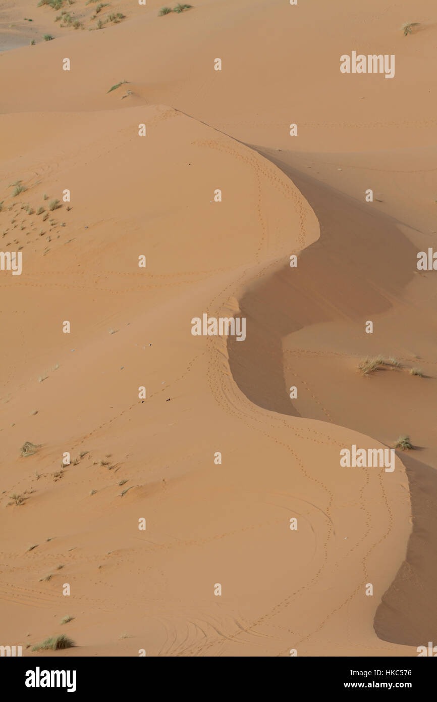 Sand dunes in the Sahara Desert, Morocco Stock Photo - Alamy