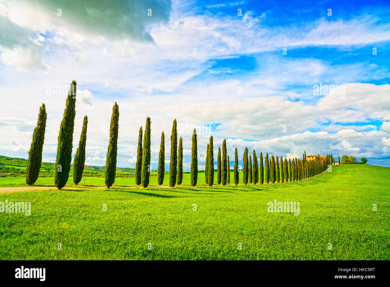 Tuscany, farmland, cypress trees row and plowed field, country landscape. Siena, Val d Orcia, Italy, Europe. Stock Photo