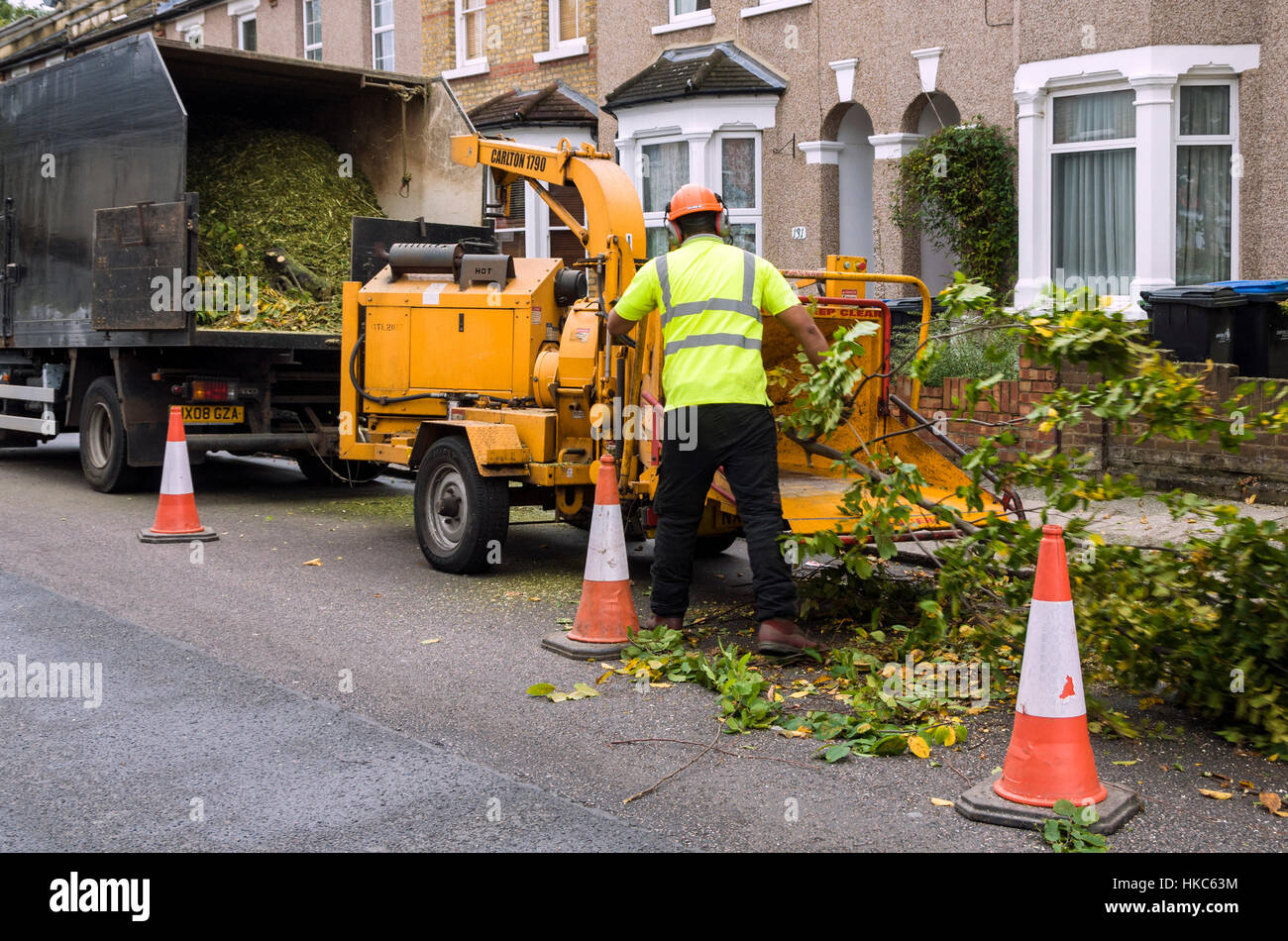 Council worker shredding trees by the roadside Stock Photo