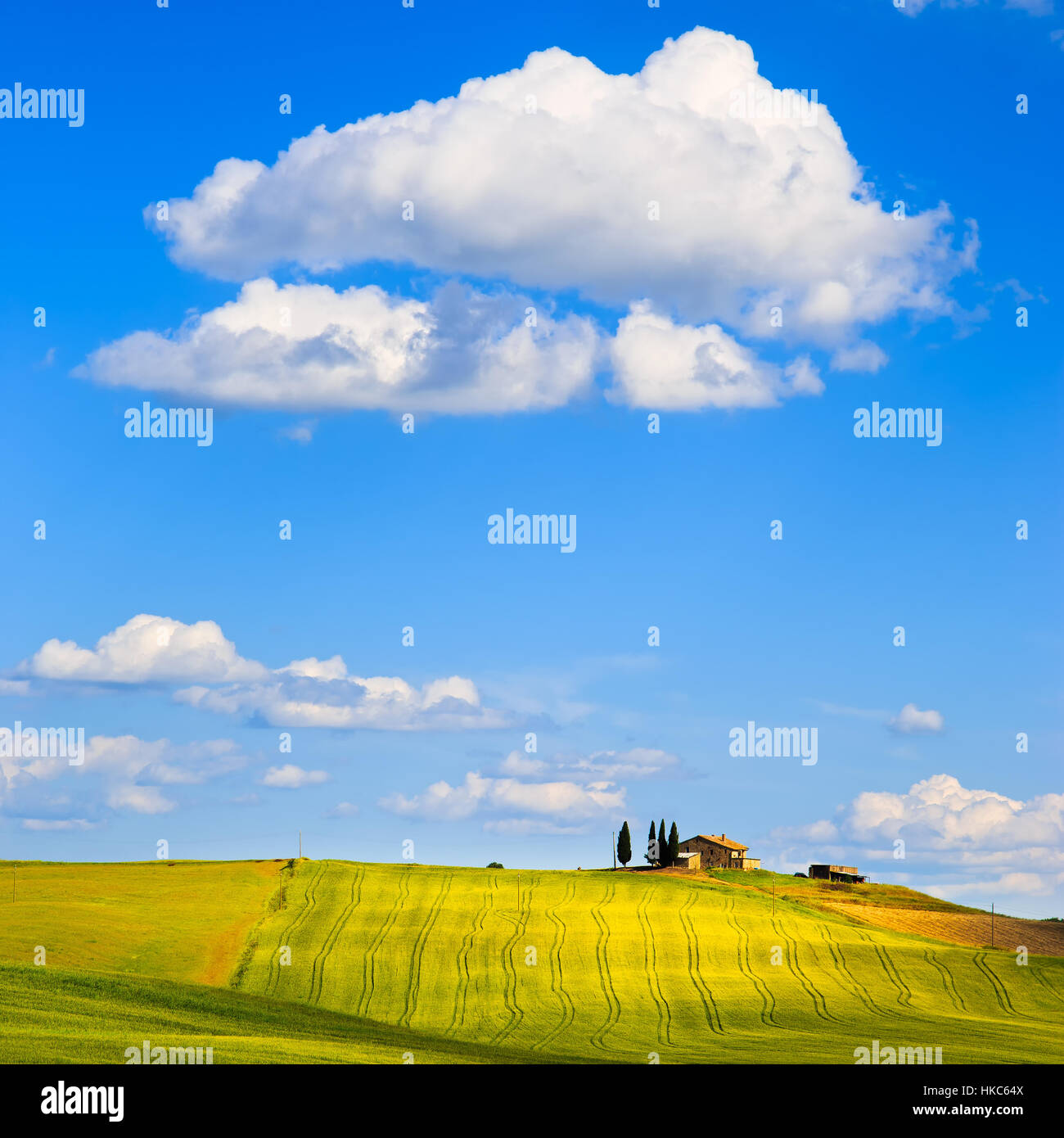 Tuscany, farmland and cypress trees country landscape, green fields. Pienza, Italy, Europe. Stock Photo