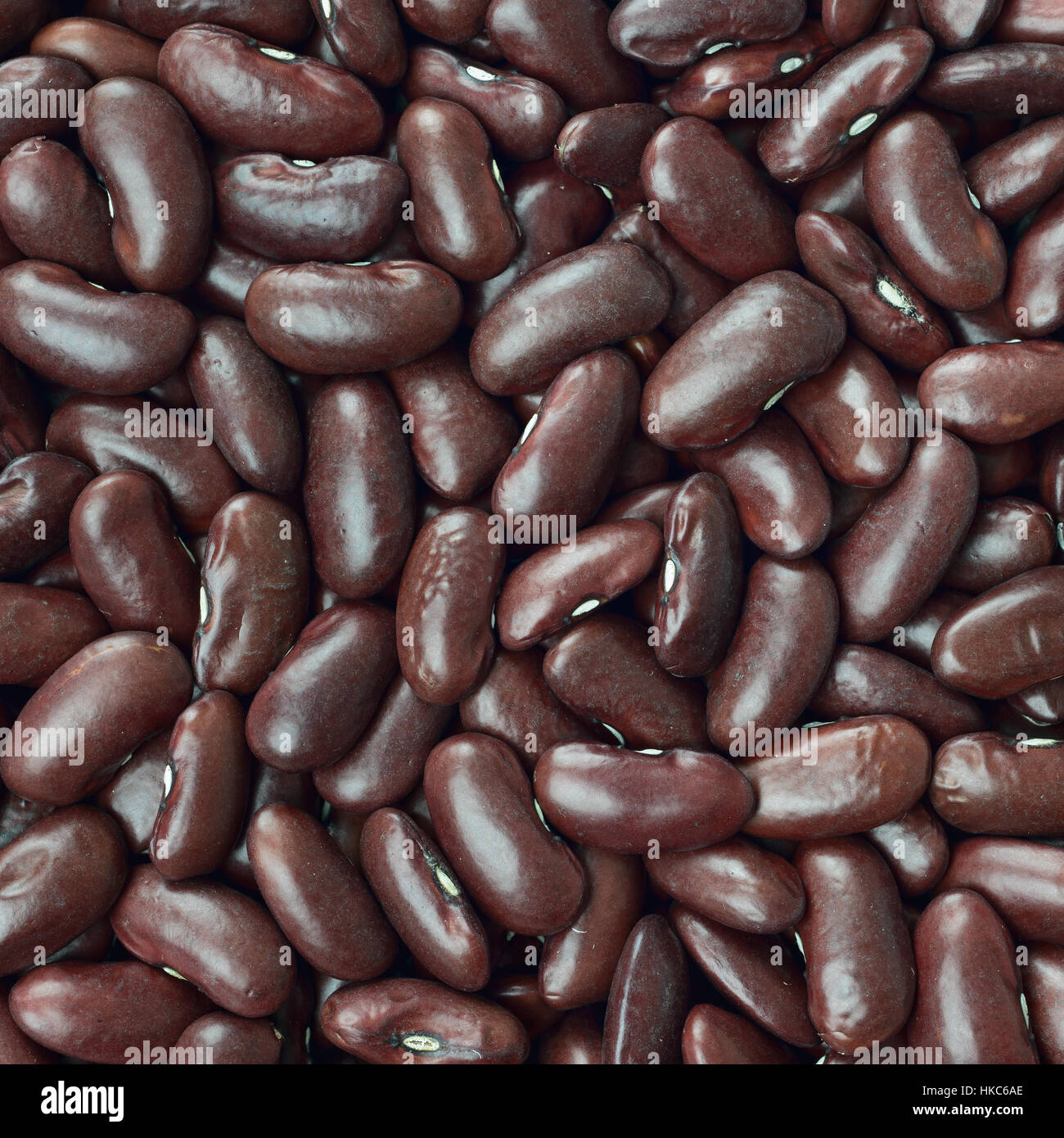 Black turtle beans texture background or pattern. Raw legume food. Stock Photo