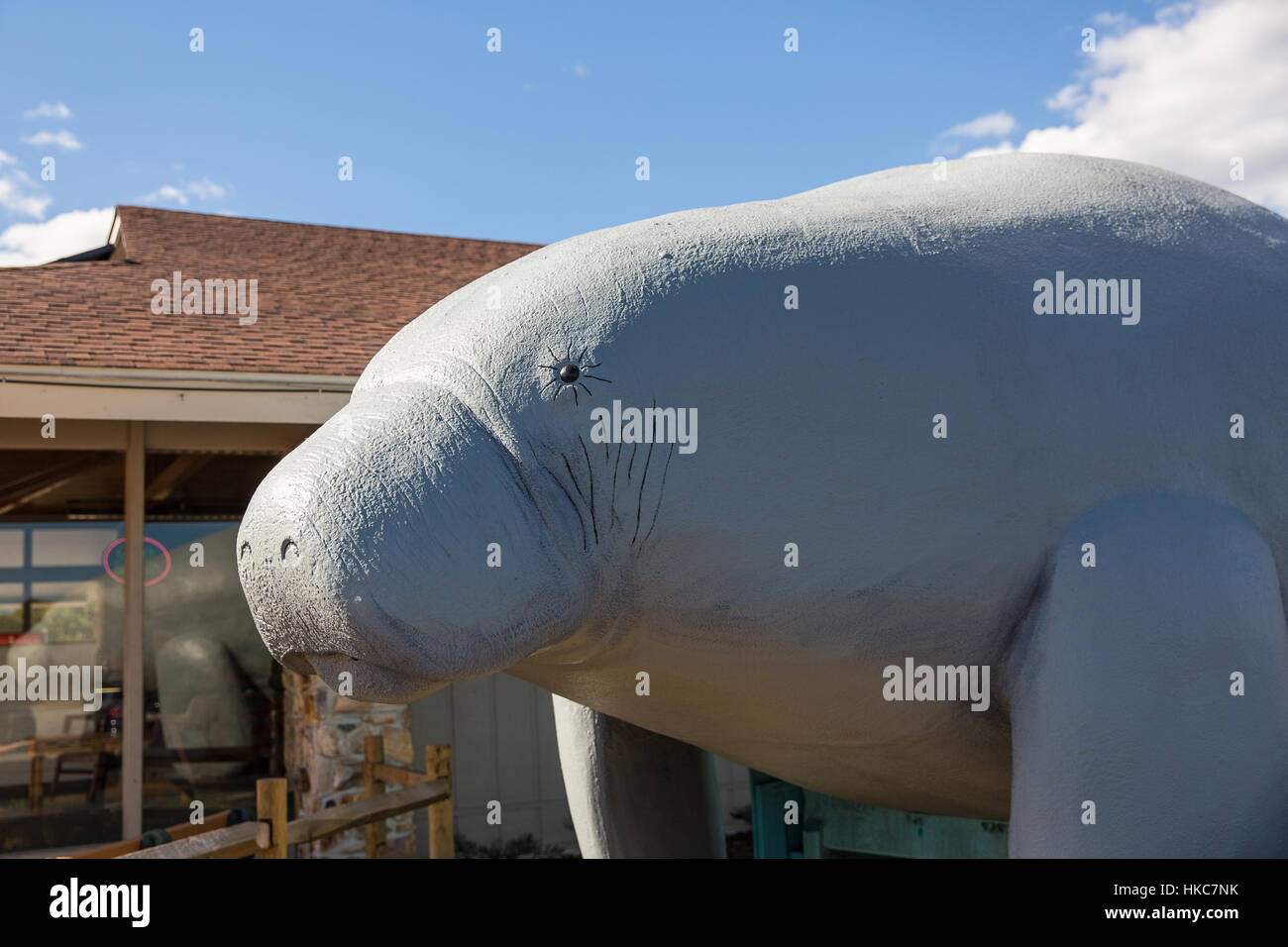 Bubbles the Manatee at the entrance to the Ellie Schiller Homosassa Springs Wildlife State Park in Citrus County, Florida. Stock Photo