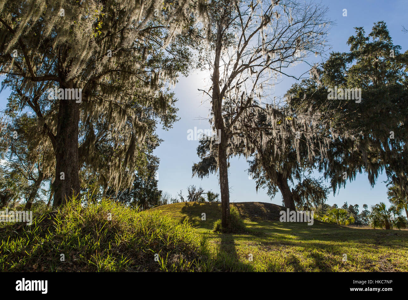 Native American earthen mound, miden mound J, at the Crystal River Archaeological State Park in Citrus County, Florida. Stock Photo