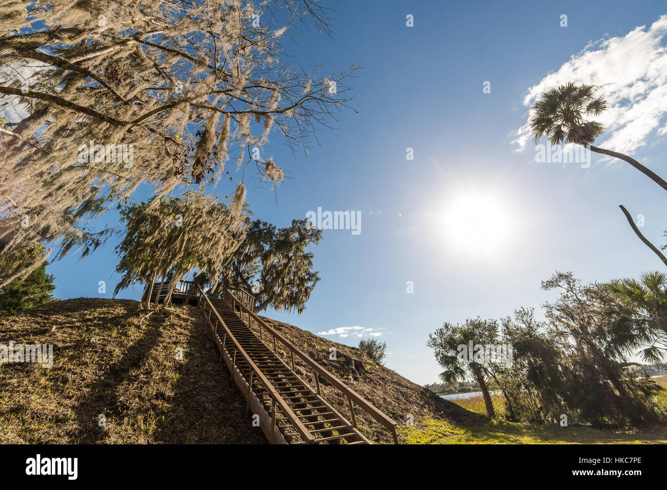 Stairway to Temple Mound A at the Crystal River Archaeological State Park in Citrus County, Florida. Stock Photo