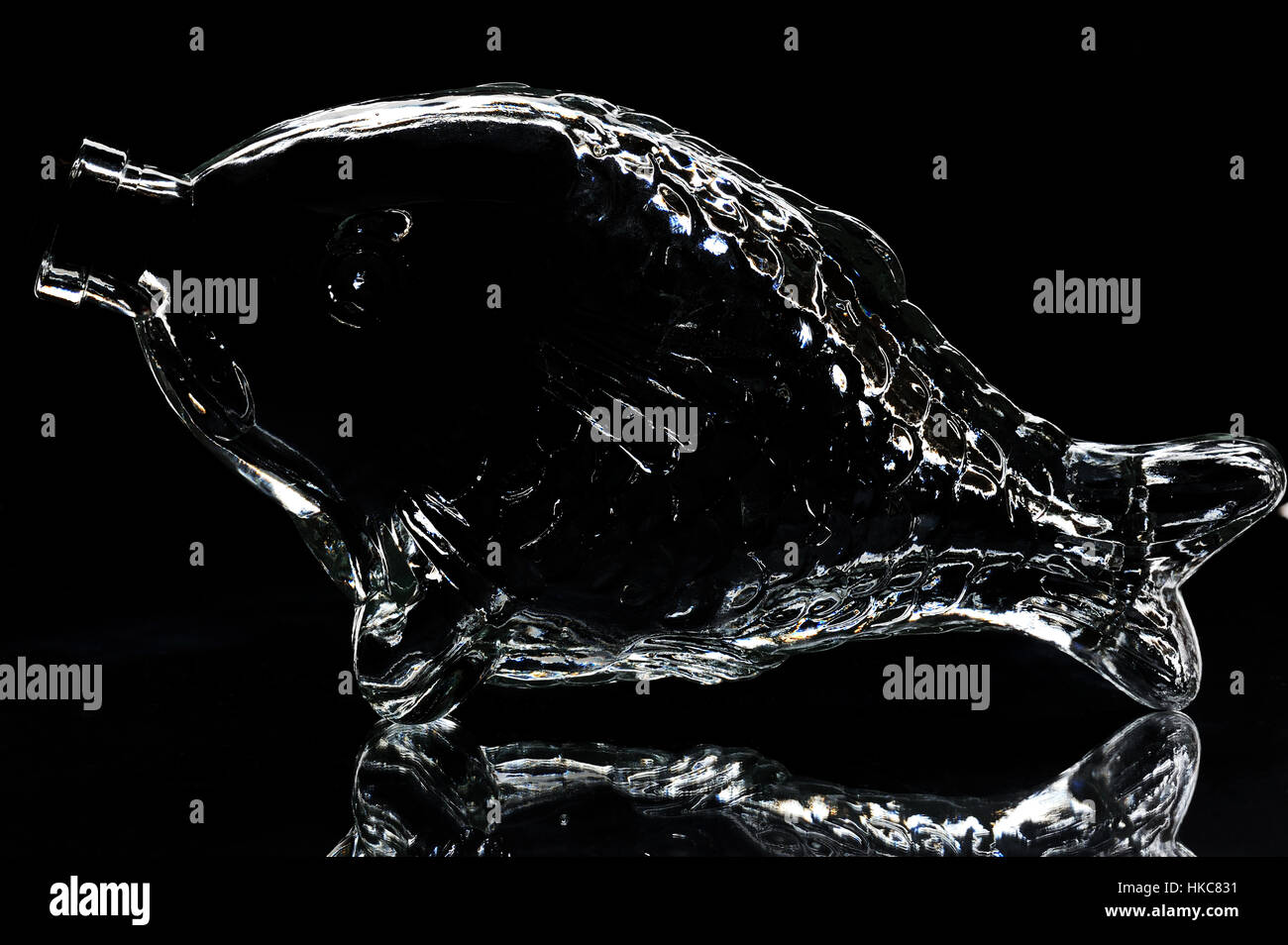 silhouette of fish shape bottle on a black background Stock Photo