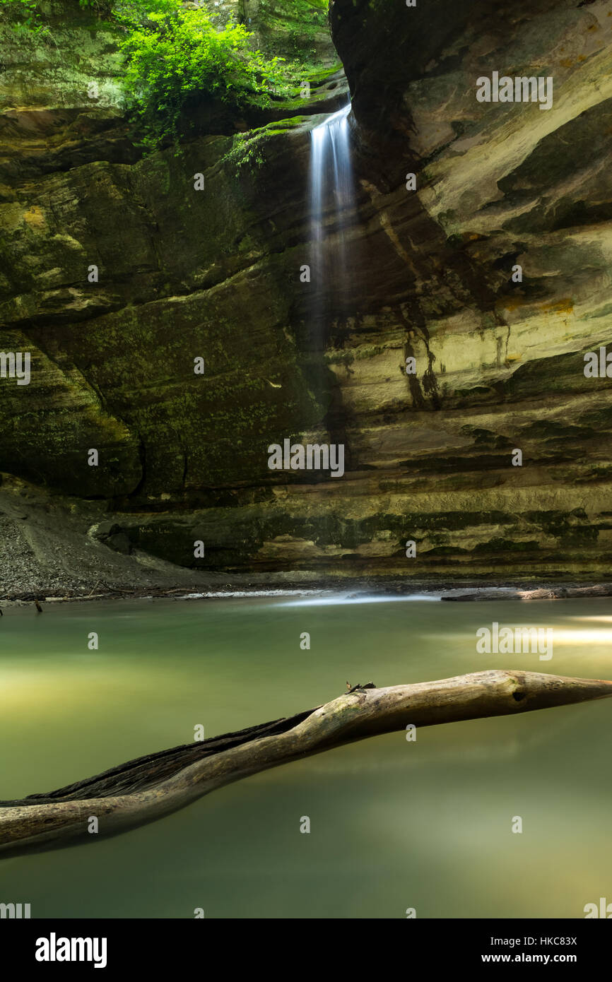 Waterfall and cliff walls with tree trunk as the summer morning light