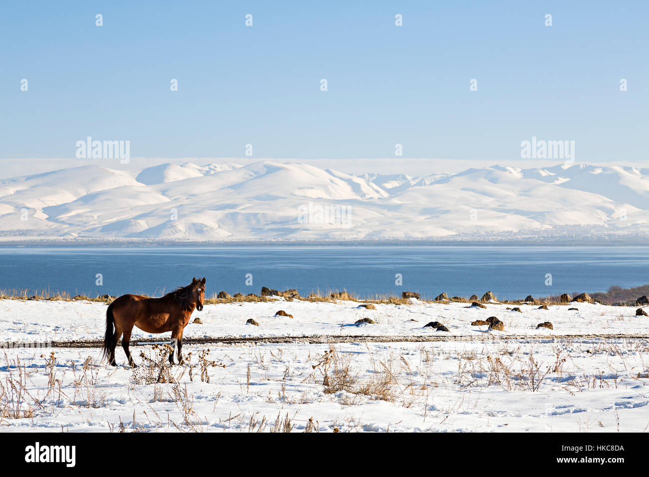 Lake Sevan in winter, Armenia Stock Photo