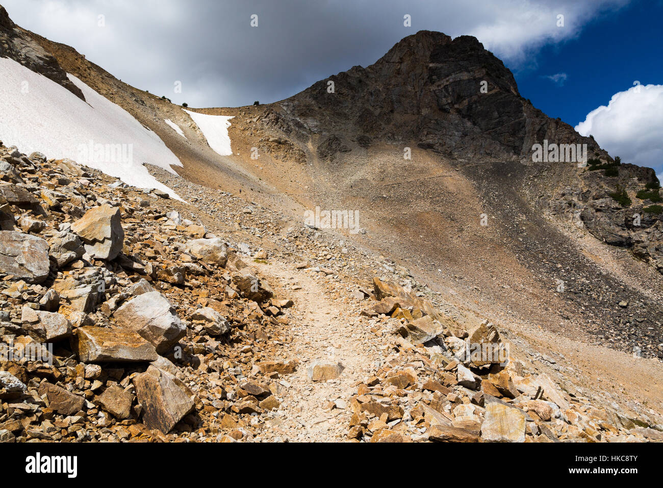paintbrush divide trail