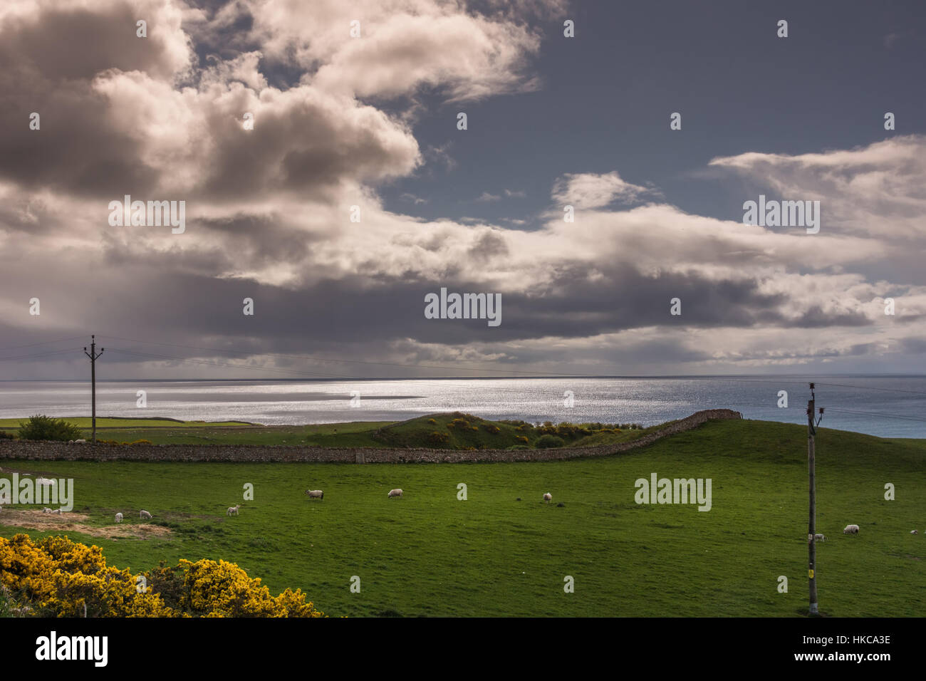 North Sea and green shoreline near Crakaig, Scotland. Stock Photo