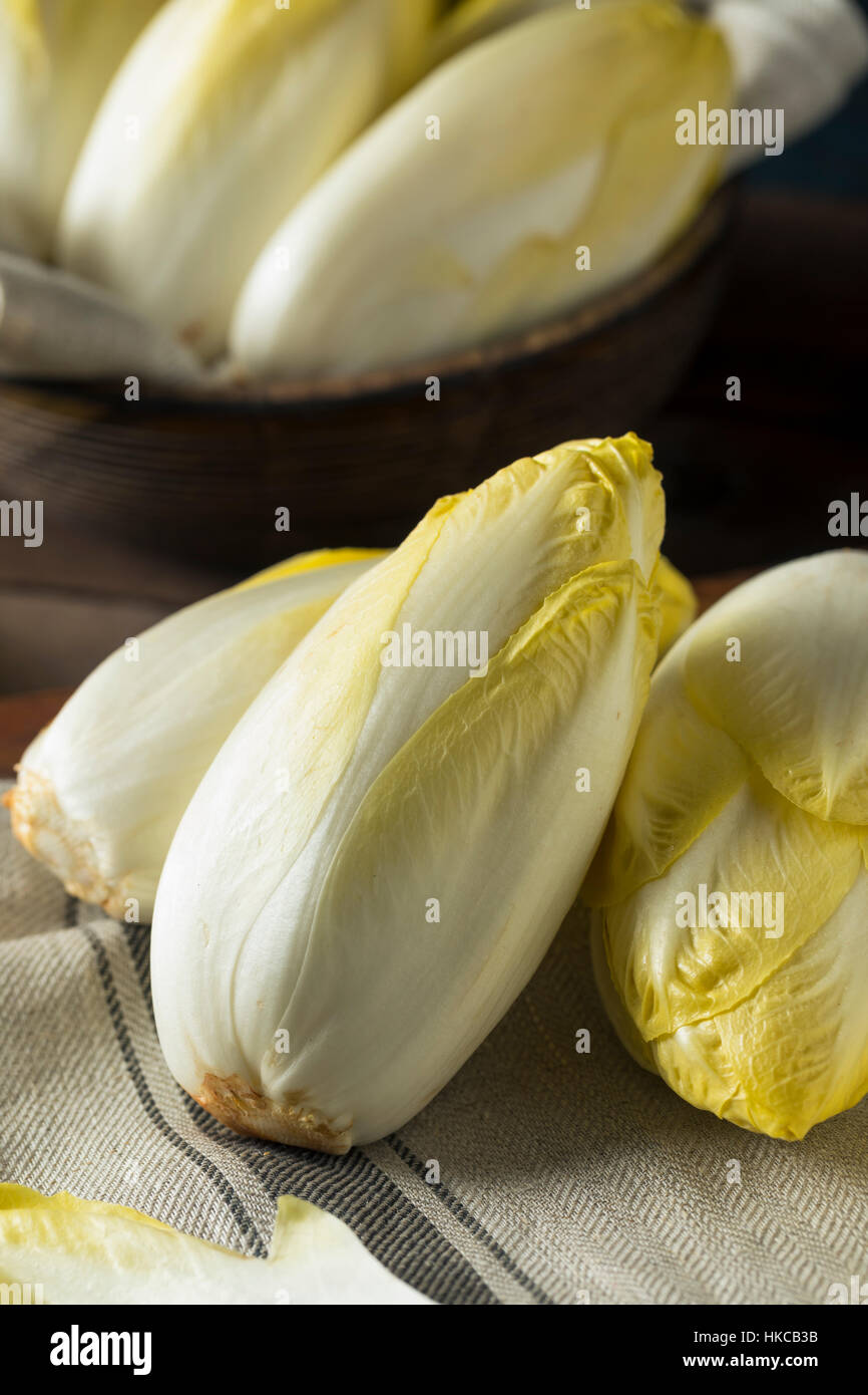 Raw Organic Belgian Endive Ready to Eat Stock Photo Alamy