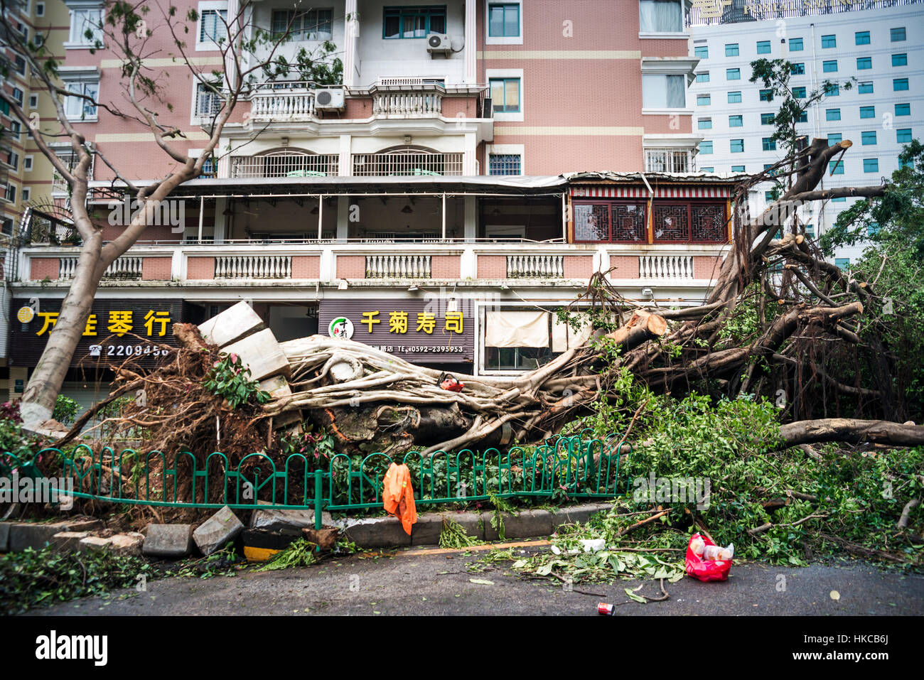 A few hours after super typhoon Merapi passed through Xiamen, it generated mass damage throughout the city; Xiamen, Fujian province, China Stock Photo