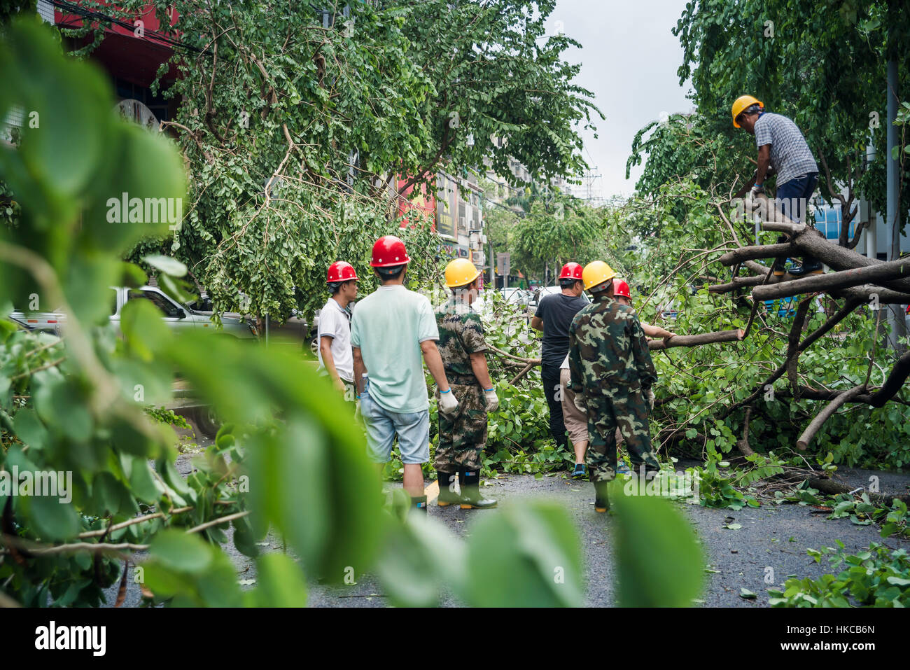 Camouflage typhoon hi-res stock photography and images - Alamy