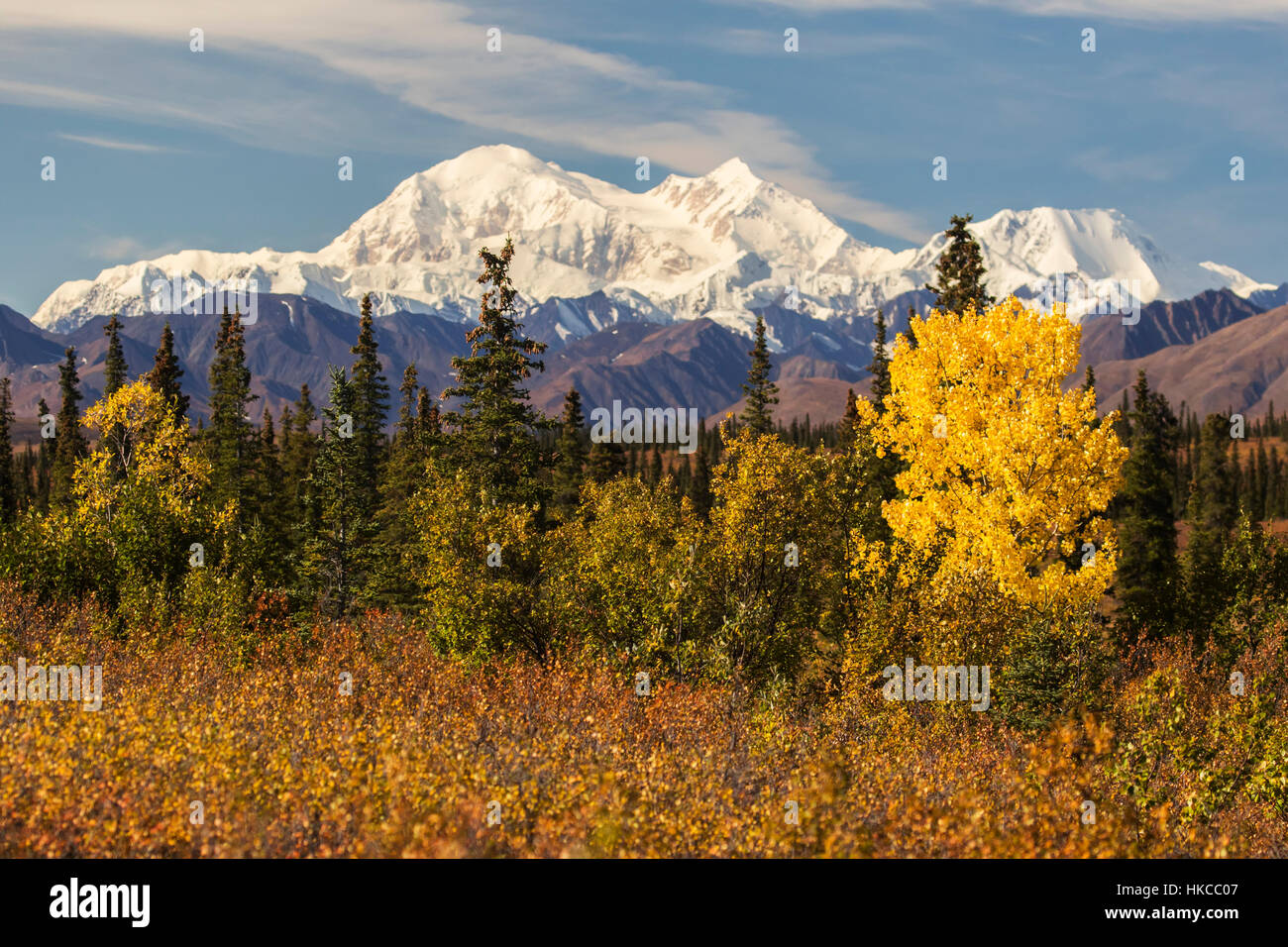 Denali, viewed from south of Cantwell, from the Parks Highway in