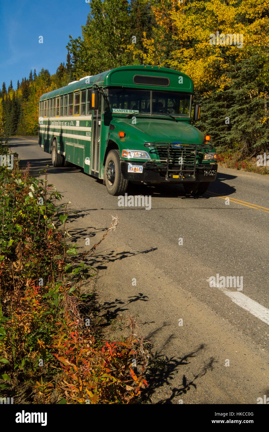 Tour Bus In Denali National Park Preserve In Autumn