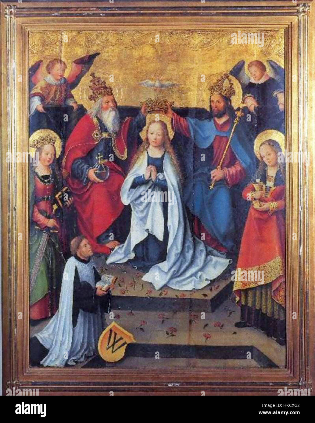 Celer hi-res stock photography and images - Alamy