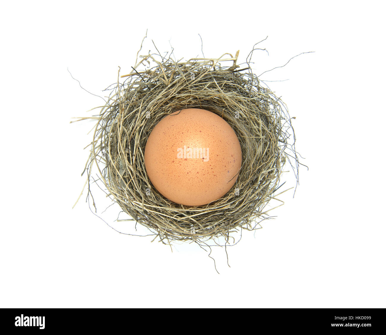 A bird nest filled with a large hen's egg viewed from above on a white ...