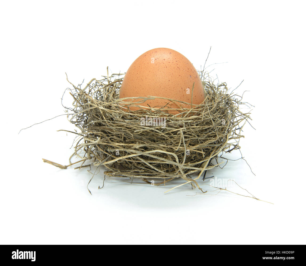 A bird nest filled with a large hen's egg viewed from above on a white background Stock Photo