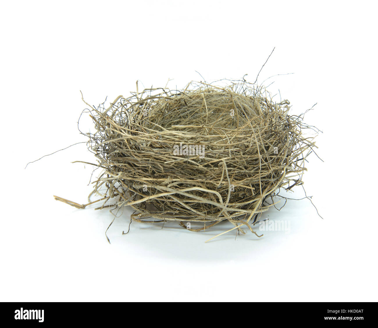 An empty Birds nest on a white background Stock Photo