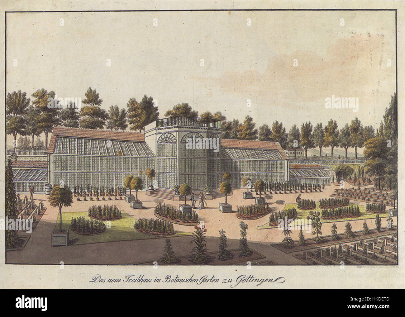 Besemann   Das neue Treibhaus im Botanischen Garten (um 1810) Stock Photo