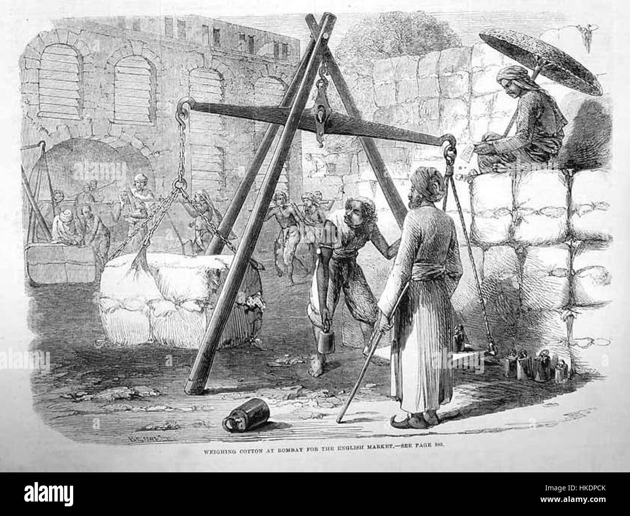 This 19th-century painting illustrates the process of weighing cotton in Bombay for export to the English market. It highlights the colonial trade system and the role of Bombay as a key port in the cotton industry. Stock Photo