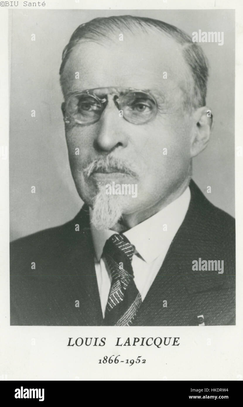 Lapicque hires stock photography and images Alamy